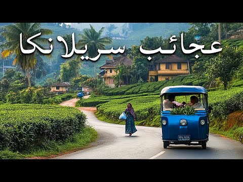 أماكن خفية في سريلانكا أماكن لا يصدق السكان المحليون أنها موجودة فيلم وثائقي سياحي بدقة 8