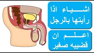 اشارات تكشف الرجل ان قضيبه صغير