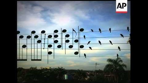 After 23,358 submissions and countless double-clicks, the results are in for YouTube