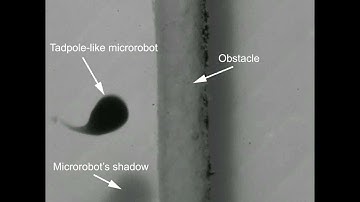 Wang et al. - Materials & Design 2024 - Surgical Robotics Laboratory