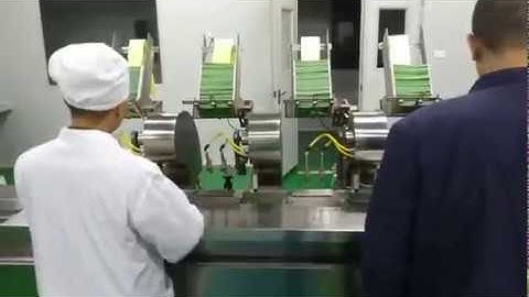 Five sachet/Pouch automatic Counting Pillow Bag Cartoning Machine