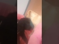 16 09 16 16 09 16