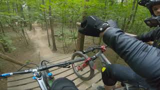 Fox Trail