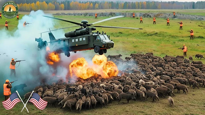 How Millions of Wild Boars and Invasive Bears Are Controlled by American Farmers | Wild Boar Hunting