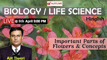 L4 Important Parts of Flowers & Concepts