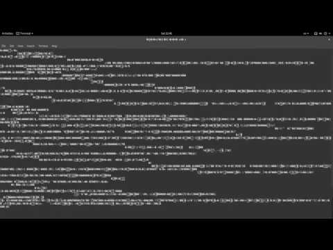 cat /dev/urandom