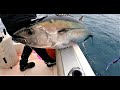 Fishing for Bluefin Tuna (San Diego)