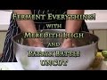 Ferment everything