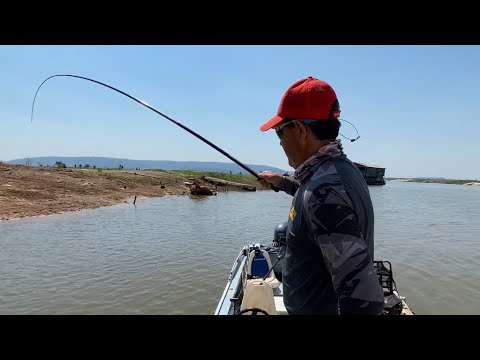 SARDINHAS COM VARA TELESCÓPICA - SEM ISCA, MUITO FÁCIL A DICA .