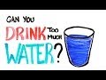 Can You Drink Too Much Water?