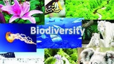 XI STD. BIO_BOTANY LESSON 1(TAMIL MEDIUM)