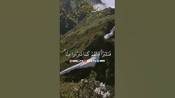 ماهر المعيقلي - سورة البقرة ( برواية حفص عن عاصم ) الأية 166 - 167