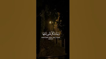 القارئ أحمد النفيس | سورة ق