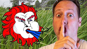 Reduce Wind Noise and Get Better Quality Video