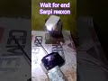 wait for end sarpi reaxon#mini sarpi light #viral sort #sortfeed