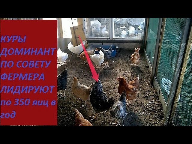 МЧС РФ до конца июля направит в Донбасс три гуманитарных конвоя МЧС РФ до конца июля направит в Донбасс три гуманитарных конвоя