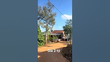 Bán vườn trái cây xanh tốt, 300 thổ cư ở bàu chinh châu đức bà rịa vũng tàu#shorts