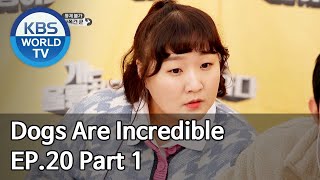 Dogs are incredible | 개는 훌륭하다 EP.20 Part 1 [SUB : ENG/2020.04.07]