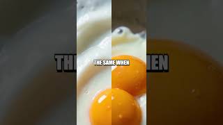 Brown Egg Myth Unpacked: The Truth About Shell Color