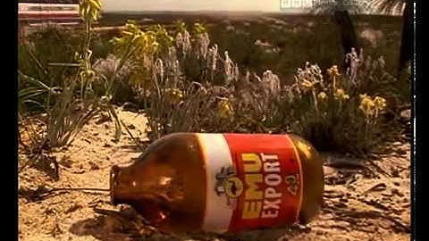 Human Nature - Supernormal Stimuli