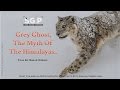 Grey Ghost, The Myth of the Himalayas.