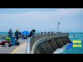 Most insane pier fishing in florida sebastian inlet fishing pier