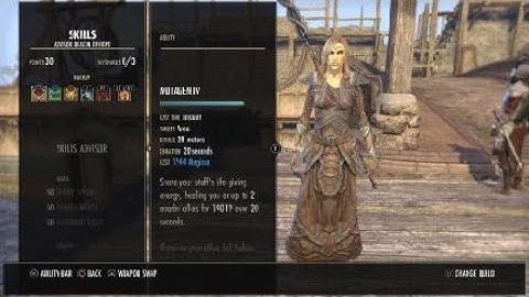 ESO: My High Elf Templar Healer build, PVE, Torug