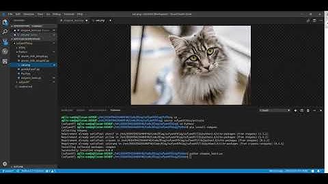 stegano dengan python