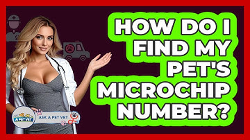 How Do I Find My Pet