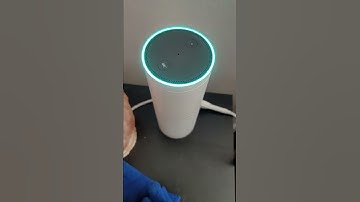 Alexa vs Google Home: Asking Alexa and Google Home Who