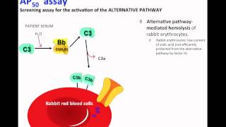 Clinical Assessment Of Complement System Ch50 And Ap50