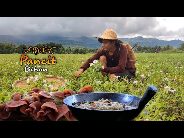 my simple life in countryside feeding native pig and cooking pancit with wood ear mushrooms |kabagis