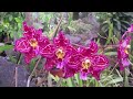 10 Minute Guided Imagery Meditation | City of Hope