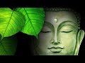 Buddha Instrumental Music BEST Collection (Zither) ⭐ Chinese Style Playlist of Buddhist Songs BGM