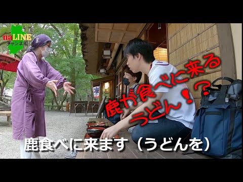 奈良グルメ おいしいうどんとそばを食べながらまったり 春日大社徒歩すぐ Youtube