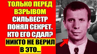 картинка: Последний День Сильвестра: Он Знал, Что На Него Ведётся Охота...