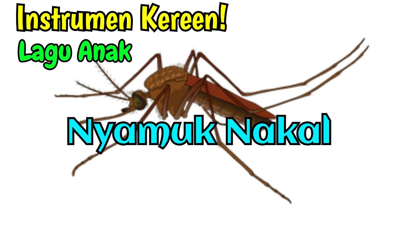 Instrumen Kereen Nyamuk Nakal Lagu Anak Youtube