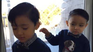 3-year-old twins drown in backyard swimming pool