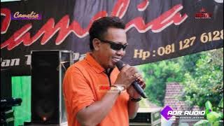 CINTA HITAM - Marlin Zakaria  / CAMELIA / HALAL BIHALAL PEMUDA NGETUK & ANAK RANTAU LOR XALI
