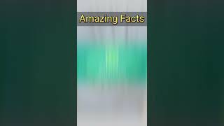 Top5 interesting Facts | Amazing Facts | Random Facts shorts
