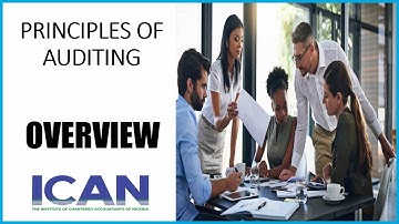 UNDERSTANDING AUDITING PRINCIPLES | OVERVIEW THE PRINCIPLE OF AUDITING | UNDERSTANDING PRINCIPLES
