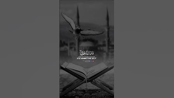 ارح قلبك بذكر الله || تلاوه خاشعة ونادره || #قرآن #short #تصاميم_دينيه