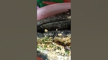 Cách làm món cá lóc nướng trui ngon tuyệt ở miền Tây..