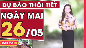 Dự Báo Thời Tiết Đêm Nay Và Sáng Mai Ngày 26/5: Mưa Dông Có Xu Hướng Gia Tăng Ở Bắc Bộ | ANTV