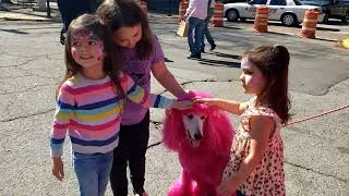 Last day 2024 CBF friends at arts and crafts Cherry the Pink Poodle