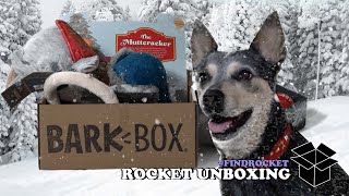 Rocket's Winter Muttcracker Discovery by FindRocket 58 views 1 year ago 2 minutes, 18 seconds