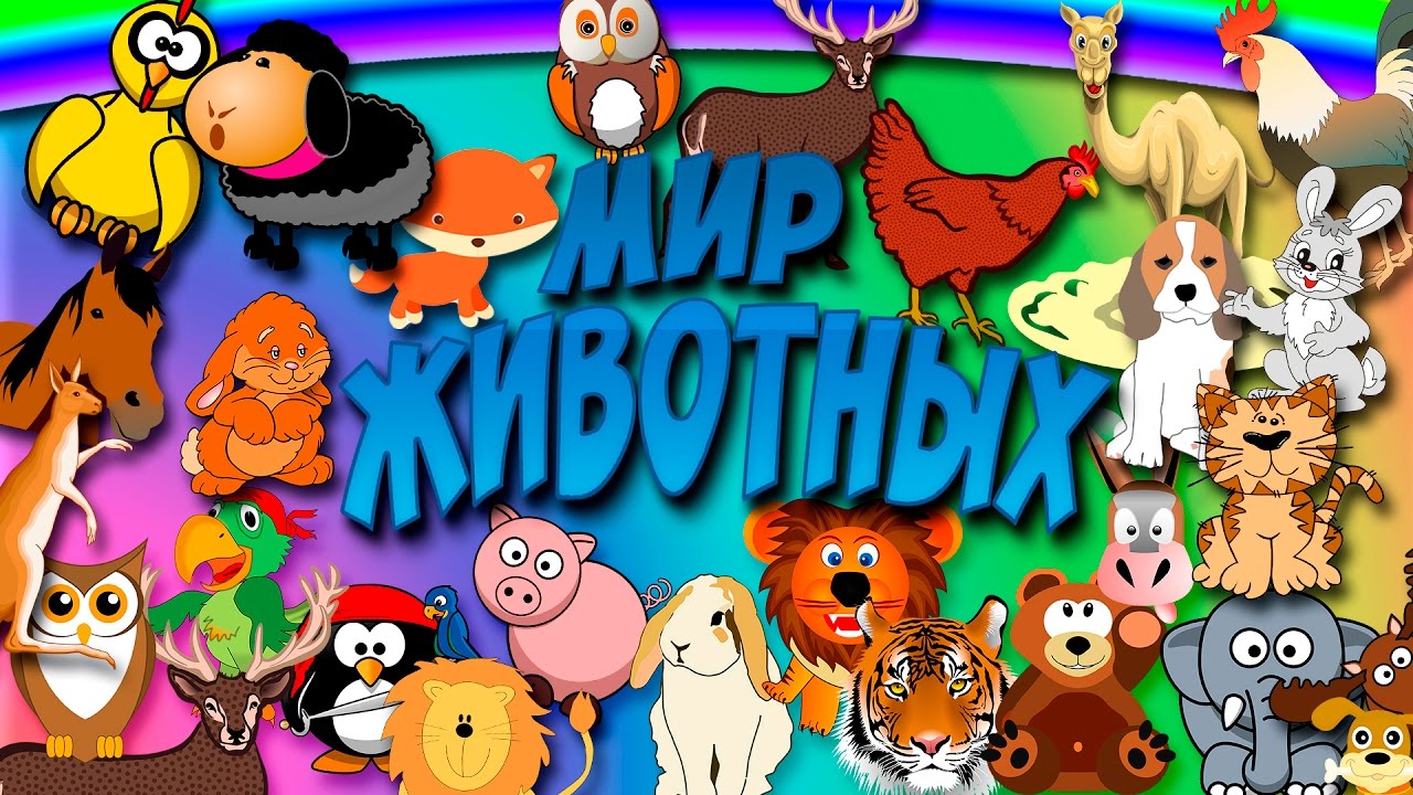 Картинки с надписью мир животные, компьютере рисовать картинка