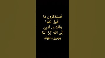 تلاوة هادئه للقارئ الشيخ عبدالباسط عبدالصمد من سورة غافر