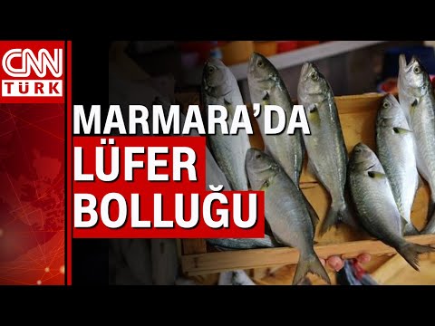 Balıkçının yüzü lüferle