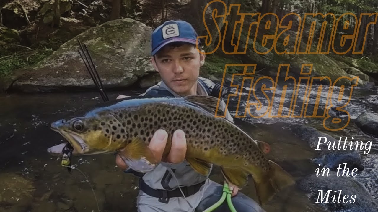 Streamer Fishing for Trout Putting in the Miles YouTube